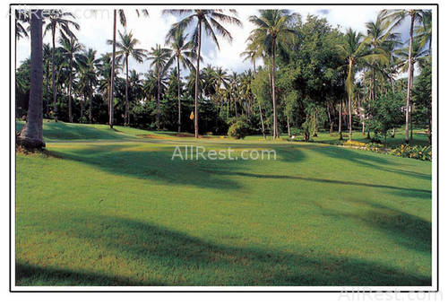 The Fair House Beach Resort 20